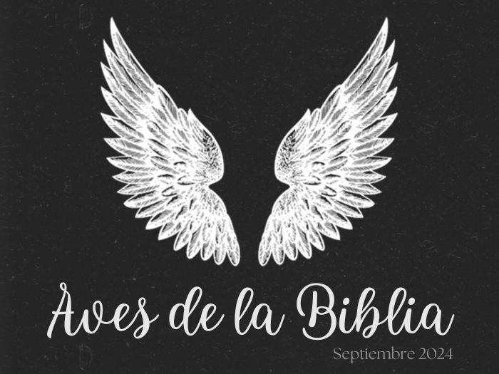 Servicio Dominical: Aves de la Biblia