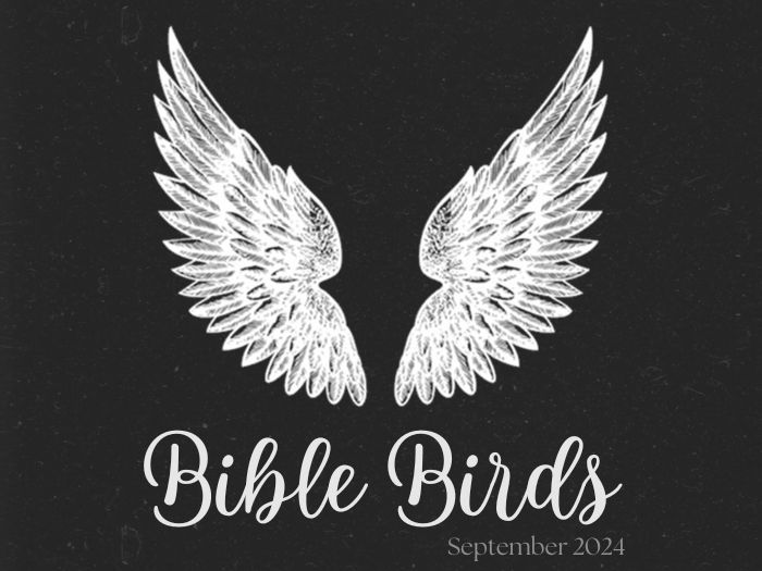 Sunday Service: Bible Birds